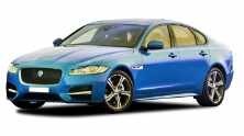 XF